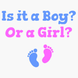 Boy or Girl? Design