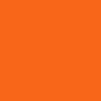 KONINGSDAG tieten en bier Design