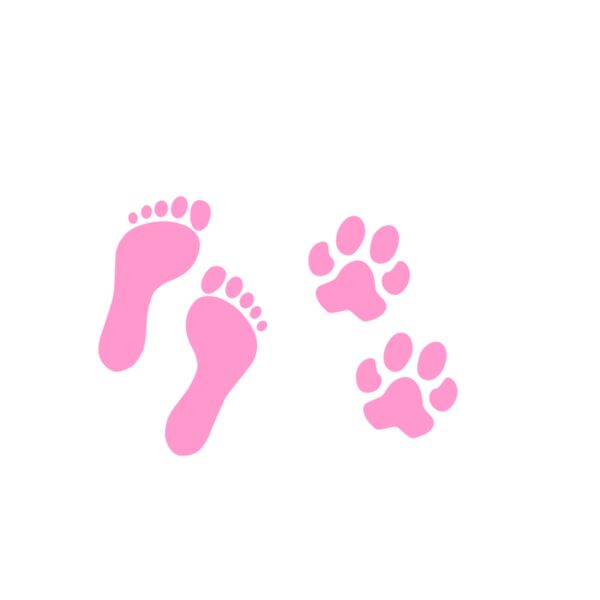 never walk Thumbnail