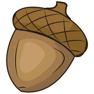 acorn clipart md Thumbnail