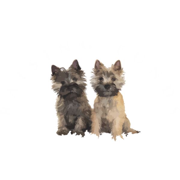 borst logo wit def Thumbnail