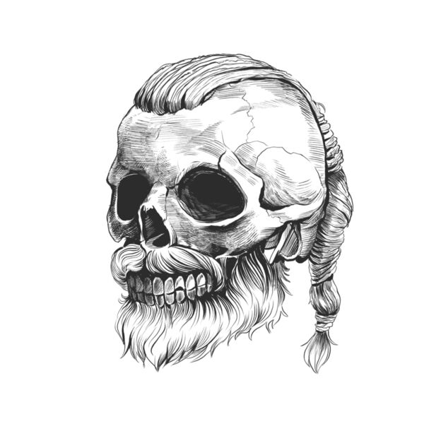 viking schedel Thumbnail