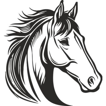 Paarden hoofd 1 Thumbnail