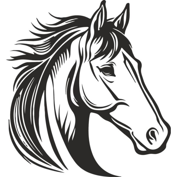 Paarden hoofd 1 Thumbnail