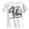 t-shirt   kids Basic Thumbnail