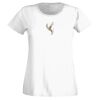 T-shirt  Lady Fit Thumbnail