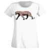 T-shirt  Lady Fit Thumbnail