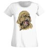 T-shirt  Lady Fit Thumbnail