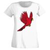 T-shirt  Lady Fit Thumbnail