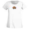 T-shirt  Lady Fit Thumbnail