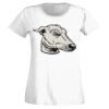 T-shirt  Lady Fit Thumbnail