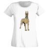 T-shirt  Lady Fit Thumbnail