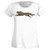 T-shirt  Lady Fit Thumbnail