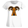 T-shirt  Lady Fit Thumbnail