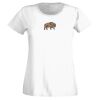 T-shirt  Lady Fit Thumbnail