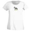 T-shirt  Lady Fit Thumbnail