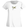 T-shirt  Lady Fit Thumbnail