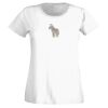 T-shirt  Lady Fit Thumbnail
