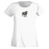 T-shirt  Lady Fit Thumbnail