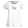 T-shirt  Lady Fit Thumbnail