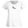 T-shirt  Lady Fit Thumbnail