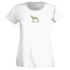 T-shirt  Lady Fit Thumbnail