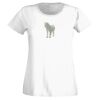 T-shirt  Lady Fit Thumbnail