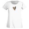 T-shirt  Lady Fit Thumbnail