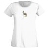 T-shirt  Lady Fit Thumbnail