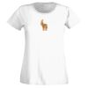 T-shirt  Lady Fit Thumbnail