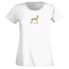 T-shirt  Lady Fit Thumbnail