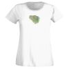 T-shirt  Lady Fit Thumbnail