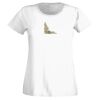 T-shirt  Lady Fit Thumbnail