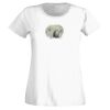 T-shirt  Lady Fit Thumbnail