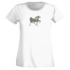 T-shirt  Lady Fit Thumbnail