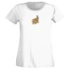 T-shirt  Lady Fit Thumbnail