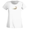 T-shirt  Lady Fit Thumbnail
