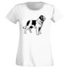 T-shirt  Lady Fit Thumbnail