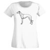 T-shirt  Lady Fit Thumbnail