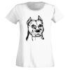 T-shirt  Lady Fit Thumbnail