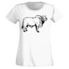 T-shirt  Lady Fit Thumbnail
