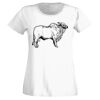 T-shirt  Lady Fit Thumbnail