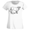 T-shirt  Lady Fit Thumbnail