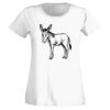 T-shirt  Lady Fit Thumbnail