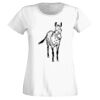 T-shirt  Lady Fit Thumbnail
