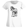 T-shirt  Lady Fit Thumbnail