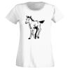 T-shirt  Lady Fit Thumbnail