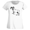 T-shirt  Lady Fit Thumbnail