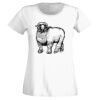 T-shirt  Lady Fit Thumbnail
