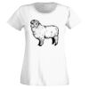 T-shirt  Lady Fit Thumbnail